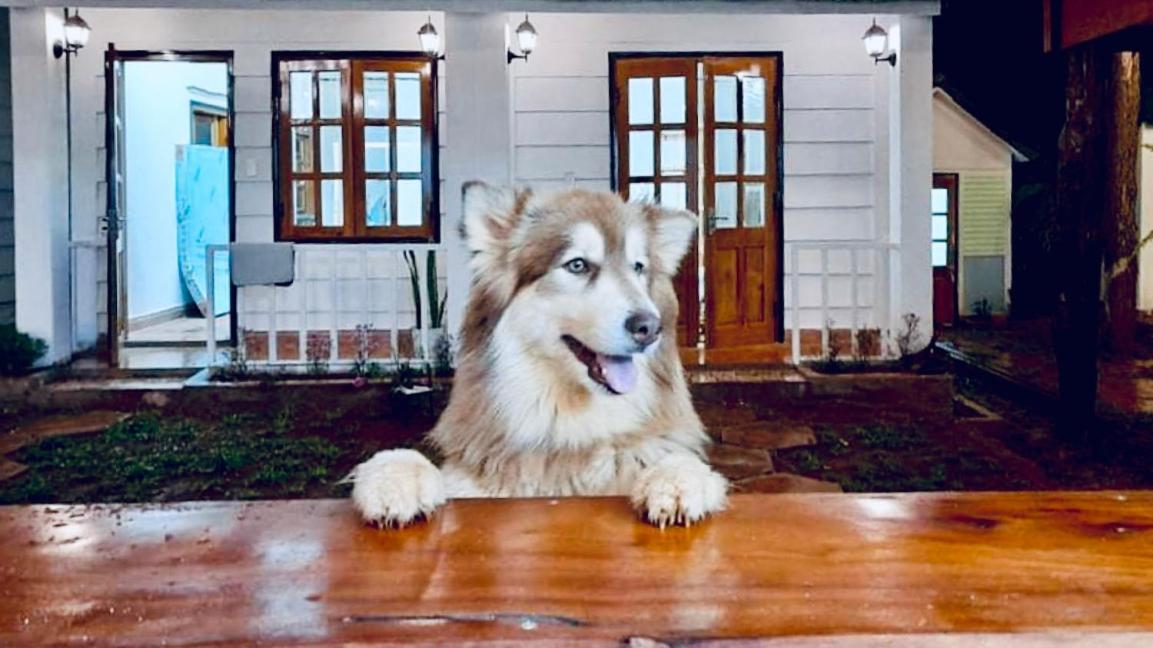 Nang Homestay Mang Den Kon Tum Екстер'єр фото